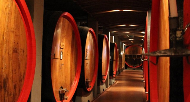 wine tour trentino