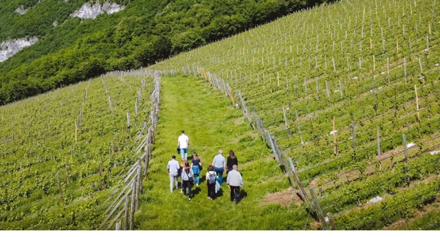 trekking in vigna