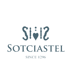 300x300_0000_sotciastel-1.png