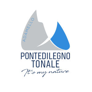 pontedilegno.png